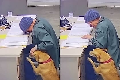 El desgarrador momento en el que la dueña del perro debió entregarlo a los cuidadores del refugio de animales