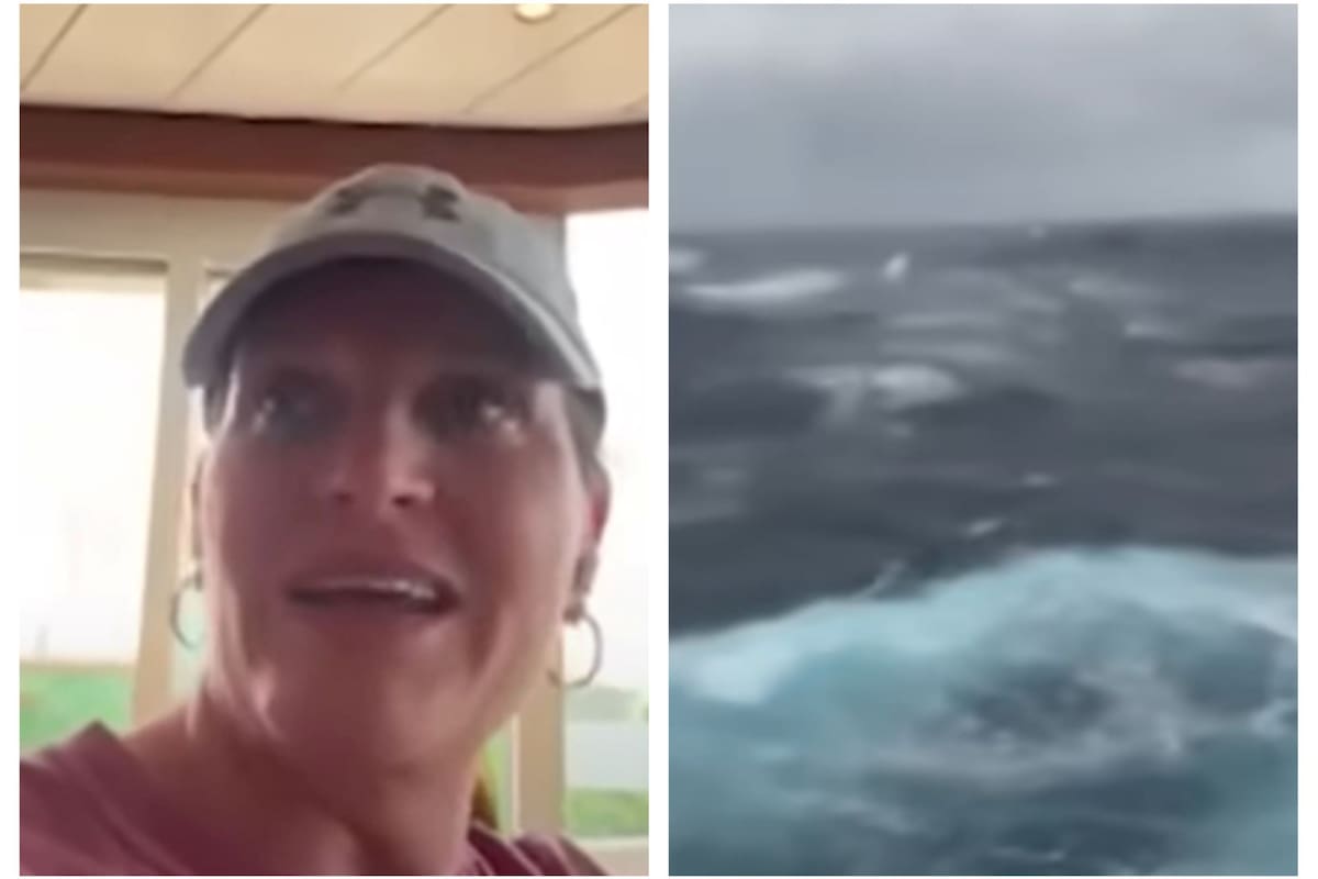 El desplazamiento del huracán Milton por el Golfo de México, con rumbo directo hacia la costa de Florida, dejó su huella en las zonas aledañas -Collage (FotoJet)