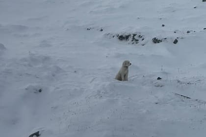 El desprendimiento de nieve sorprendió a los montañistas mientras recorrían una cresta del Parque Estatal Chugach