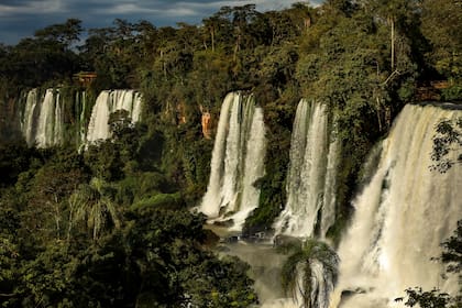 El destino de los arco iris