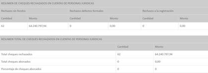 El detalle de la deuda de la sociedad según el BCRA