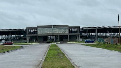 El detalle de ventas fue 417 novillos; 952 novillitos; 553 vaquillonas; 1090 vacas; 116 conservas, y 72 toros