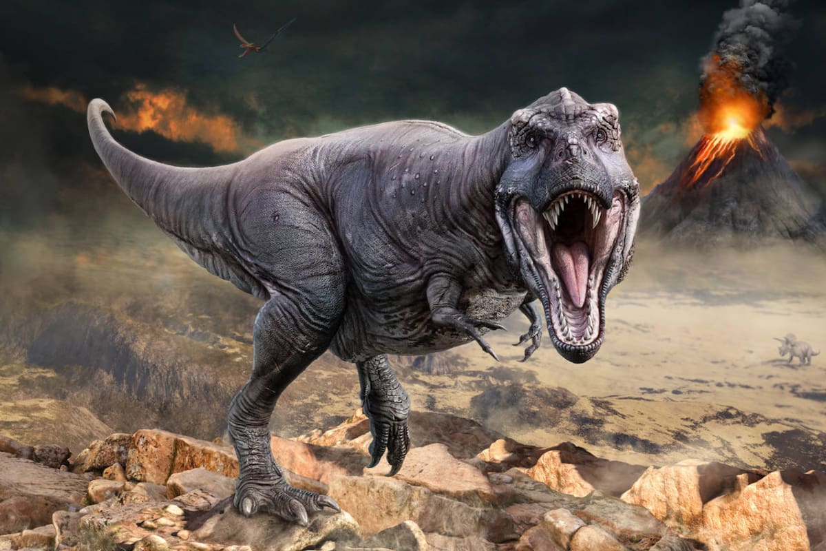 El detalle que abrió un interrogante sobre la existencia de los dinosaurios