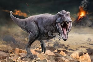 El detalle que abrió un interrogante sobre la existencia de los dinosaurios
