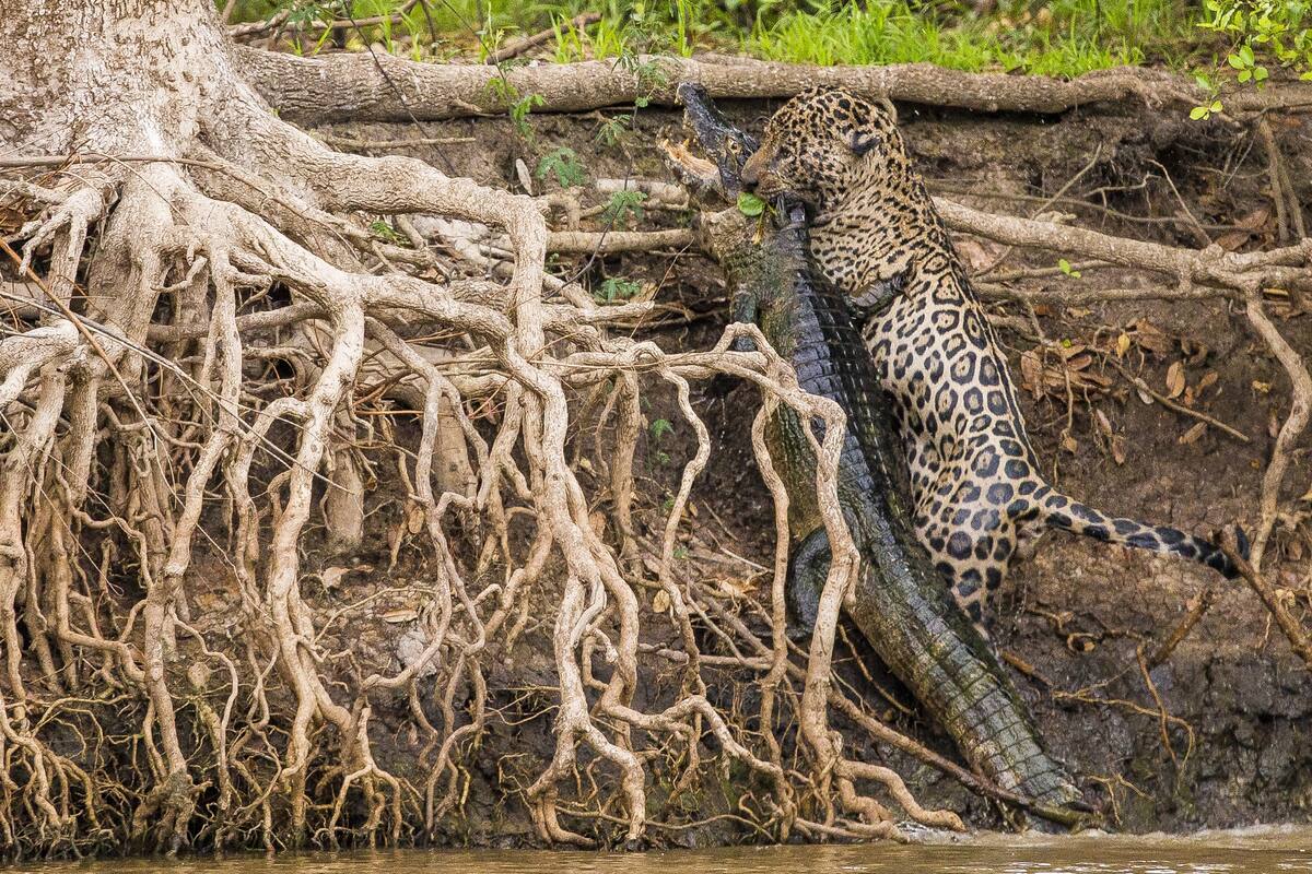 El detrás de escena de aquellos que ponen el ojo en lo natural y viajan con un objetivo