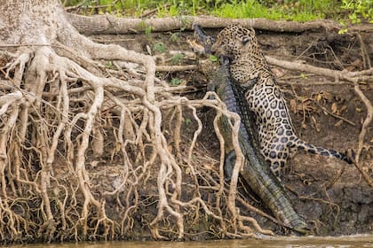 El detrás de escena de aquellos que ponen el ojo en lo natural y viajan con un objetivo
