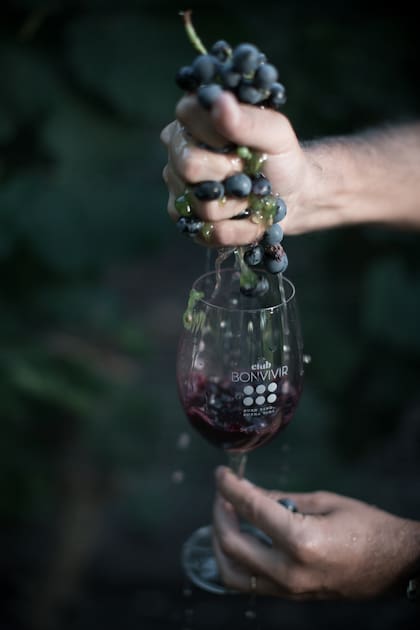 El detrás del éxito del malbec.