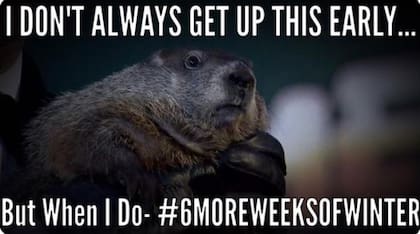 El Día de la Marmota es una de las celebraciones más esperadas por los estadounidenses