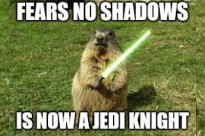 El Día de la Marmota es una festividad en Estados Unidos