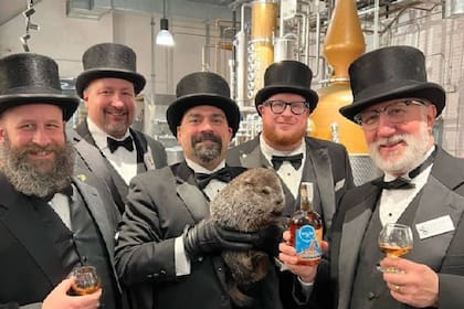 El Día de la Marmota se celebra desde el siglo XVIII