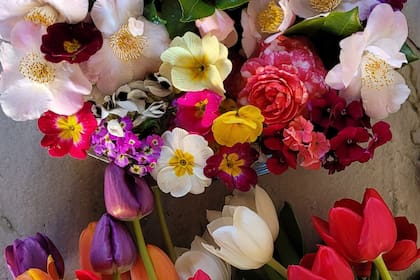 El Día de la Primavera es el 21 de septiembre