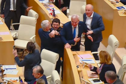 El día de la votación de la "ley rusa" se desataron peleas dentro del recinto legislativo en Tiflis