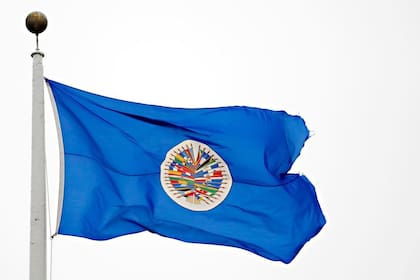 El Día de las Américas es el 14 de abril y conmemora el origen de la OEA