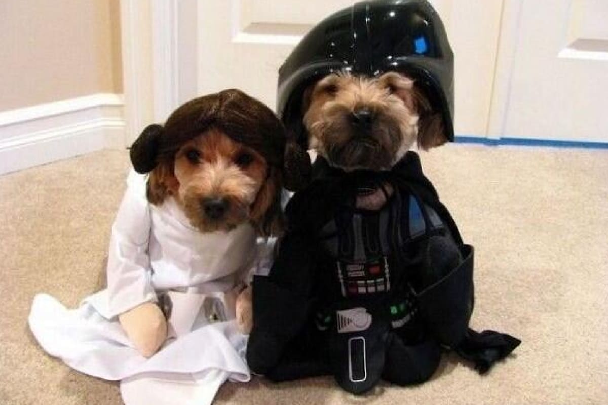 El Día de Star Wars es celebrado por los fans de la saga alrededor del mundo