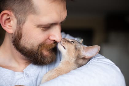 El Día del Gato se celebra tres veces al año
