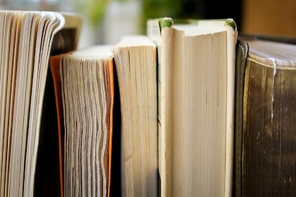 El Día del Libro se instauró oficialmente en 1941 pero la fecha tiene su origen en 1908 (Foto: Pixabay)