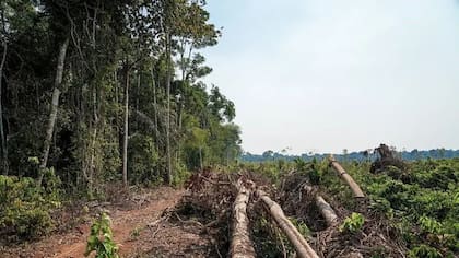 El Día del Sobregiro de la Tierra se ha adelantado tres meses en las últimas dos décadas