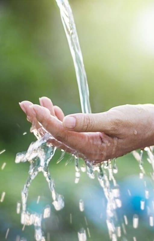 El Día Mundial del Agua fue proclamado por la Organización de las Naciones Unidas (ONU) en 1992 y el lema para 2023 es “Acelerar el cambio”