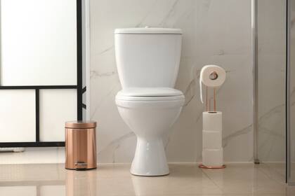 El Día Mundial del Inodoro se celebra todos los 19 de noviembre