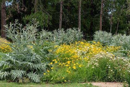 El diálogo sutil entre especies con distintos tonos de flores y follajes reemplaza la variedad desmedida