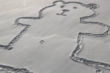 El dibujo del oso apareció sobre el hielo una fría mañana en Montreal