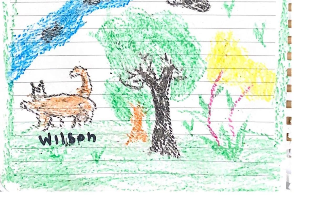 El dibujo del perro Wilson que hicieron los chicos colombianos