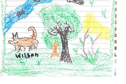 El dibujo del perro Wilson que hicieron los chicos colombianos