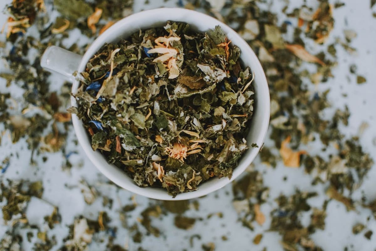 El Diente de León es una hierba silvestre que aporta muchos beneficios para el cuerpo humano (Foto Pexels)