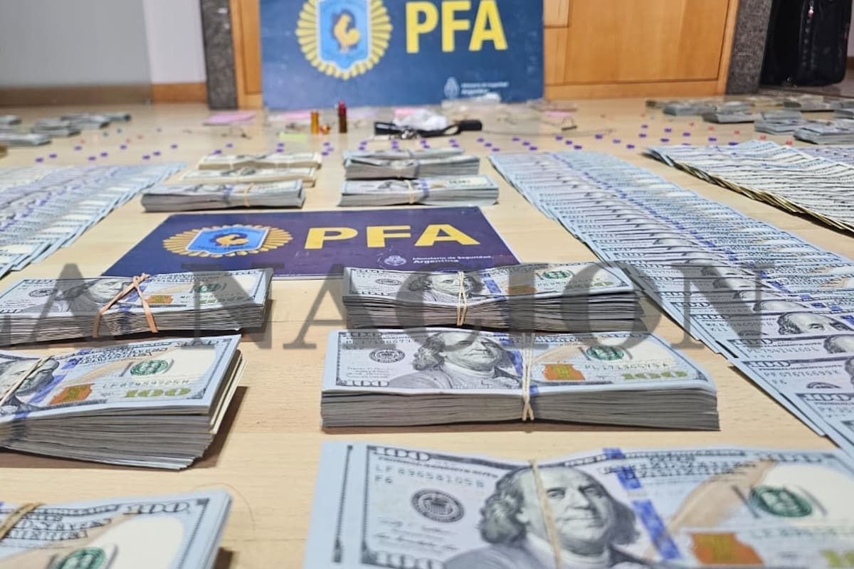 El dinero encontrado en la casa de Facundo Leal, extitular de Arsat