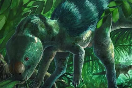 El dinosaurio del tamaño de un pollo que puede arrojar luz sobre la evolución de los ejemplares más grandes