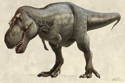 El dinosaurio era más pesado que un elefante moderno
