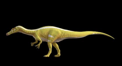 El dinosaurio Protathlitis cinctorrensi