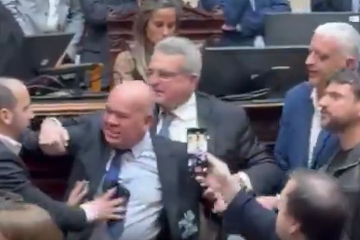 El diputado Aldo Leiva se enojó con Nicolás Mayoraz, del bloque de La Libertad Avanza, y se cruzó con Martín Menem
