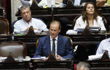 El diputado Bordet durante la sesión por la "Ley Ómnibus"