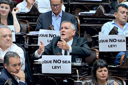 El diputado Carlos Castagneto