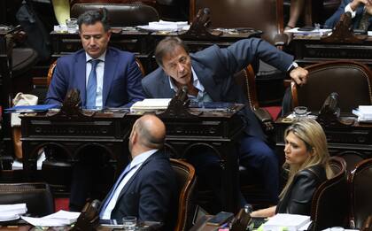 El diputado Castillo durante el tratamiento de la "Ley Ómnibus" en Diputados