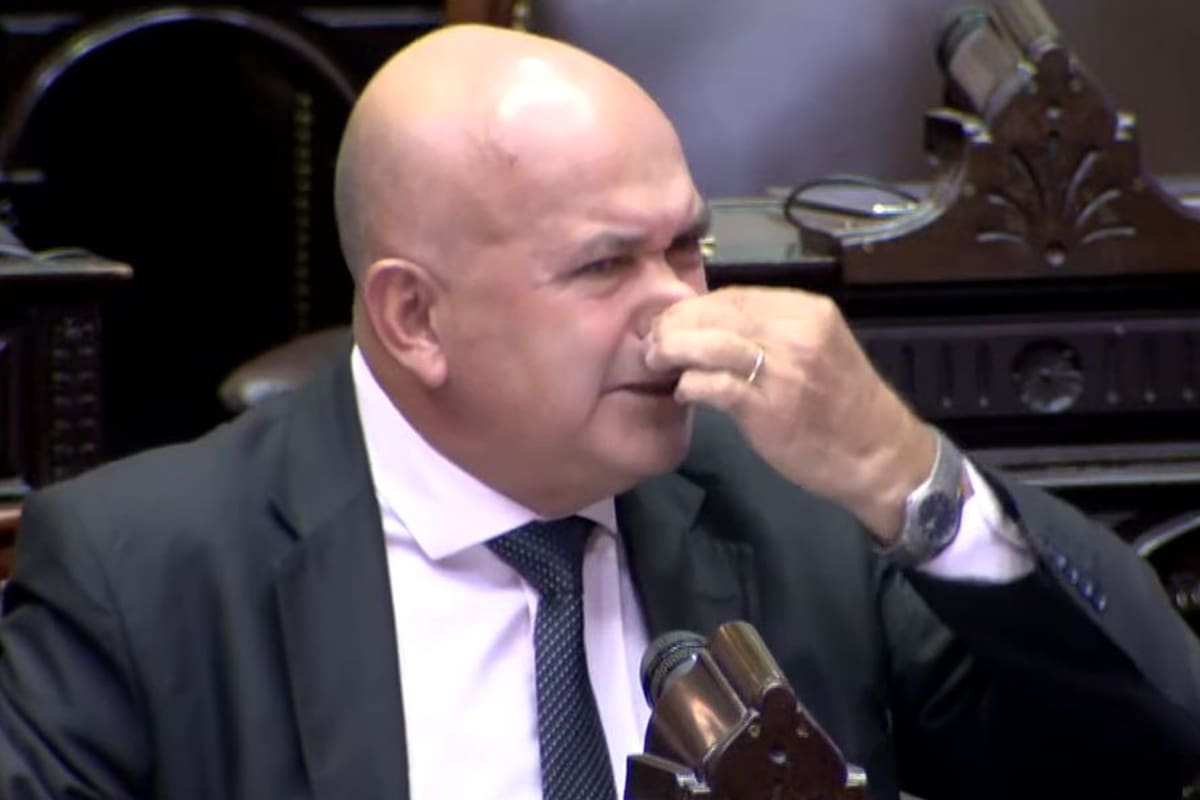 El diputado del Frente de Todos por la provincia de Chaco, Aldo Leiva.