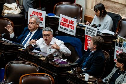 El diputado Esteban Paulón en pleno recinto
