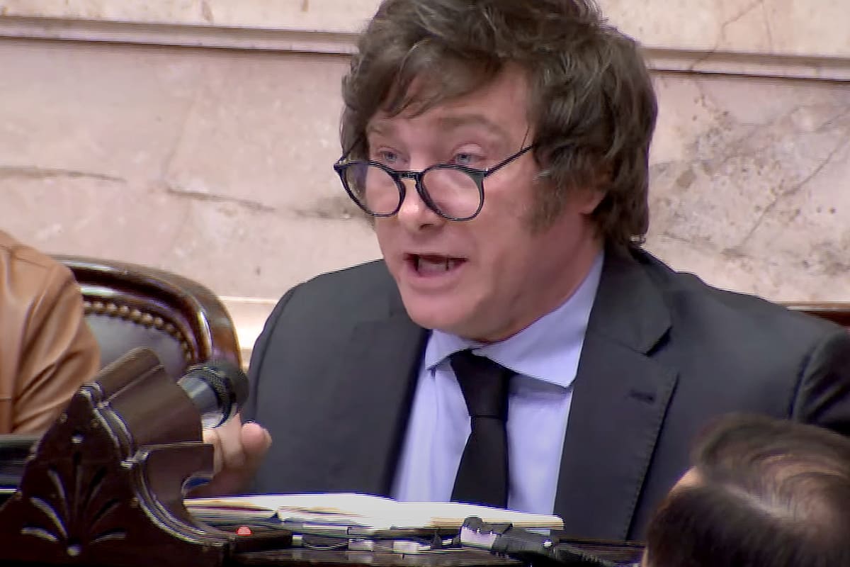 El diputado Javier Milei durante una intervención reciente en el recinto de la Cámara baja