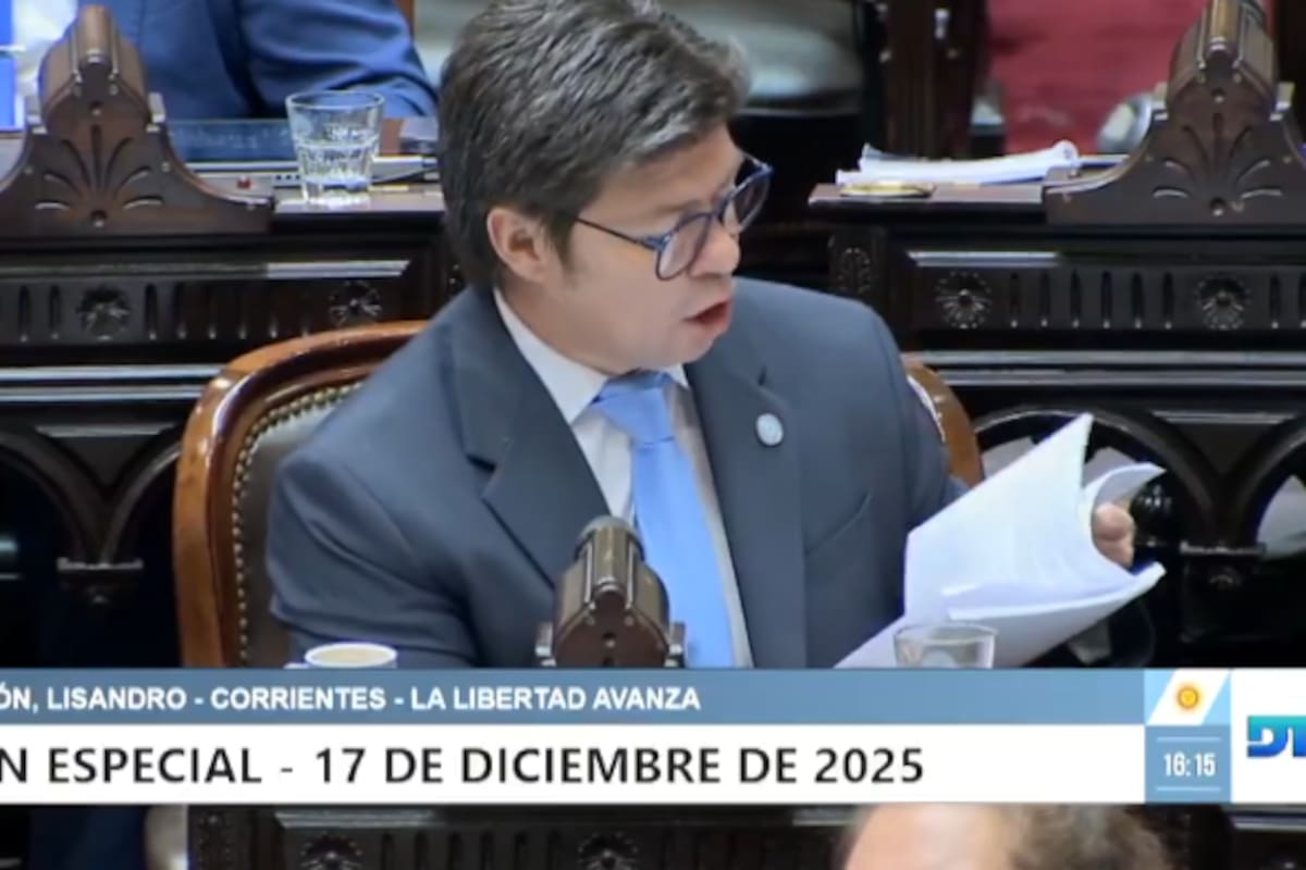 El diputado libertario por Corrientes Lisandro Almirón