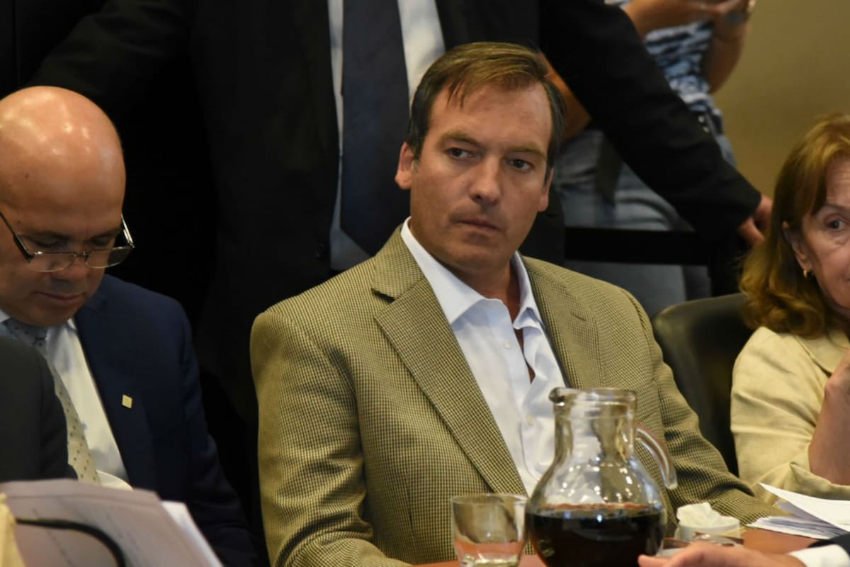 El diputado Martín Soria