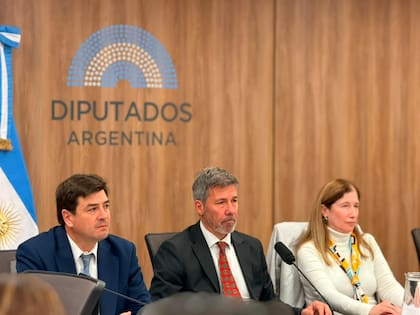 El diputado Martin Ardohain (PRO) presidió la reunión en la Comisión de Agricultura, Ganadería y Pesca de la Cámara de Diputados