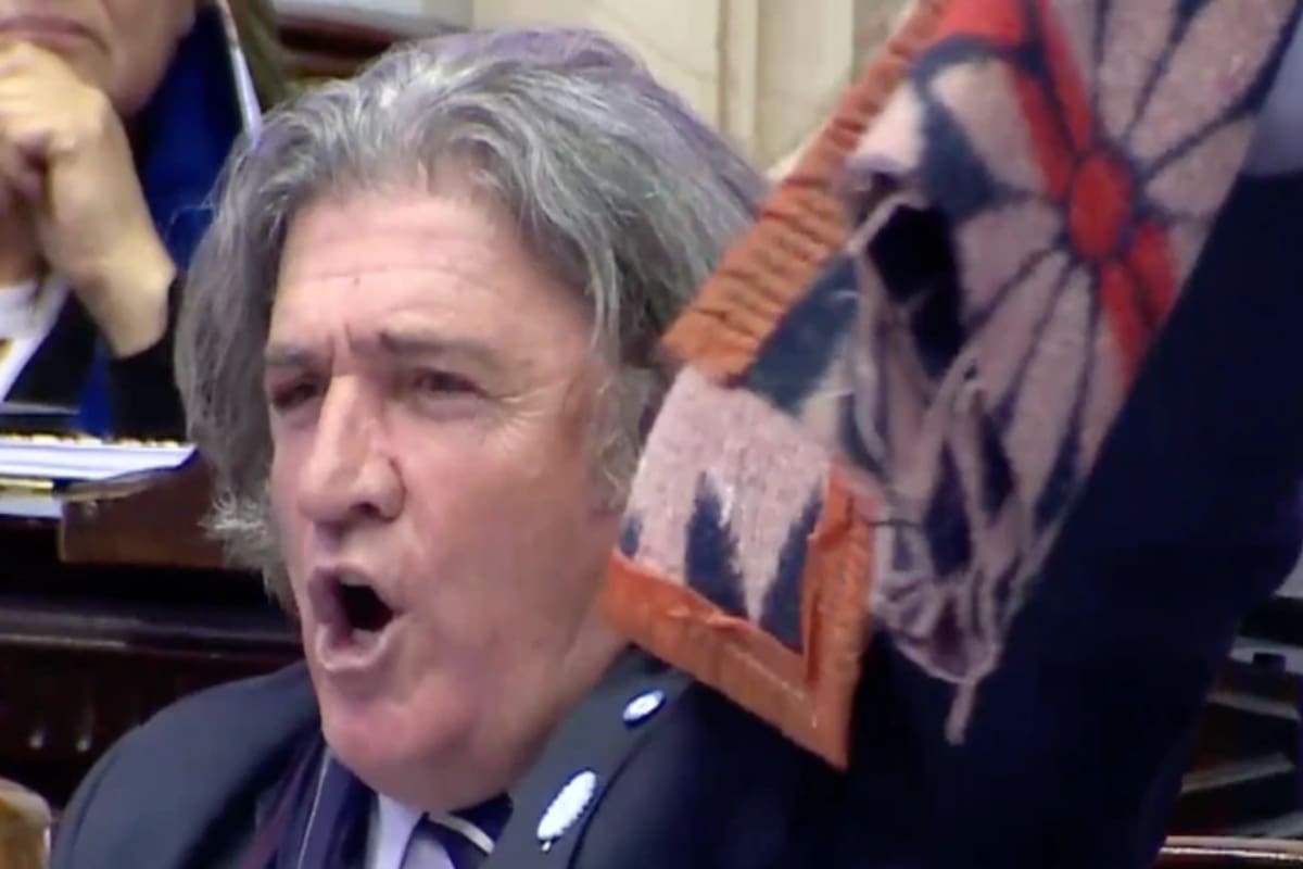 El diputado mendocino José Luis Ramón celebró la media sanción del proyecto para subsidiar el gas de los municipios que tienen las temperaturas más bajas del país