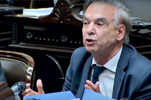 El diputado Miguel Pichetto, en medio del debate por la ley ómnibus