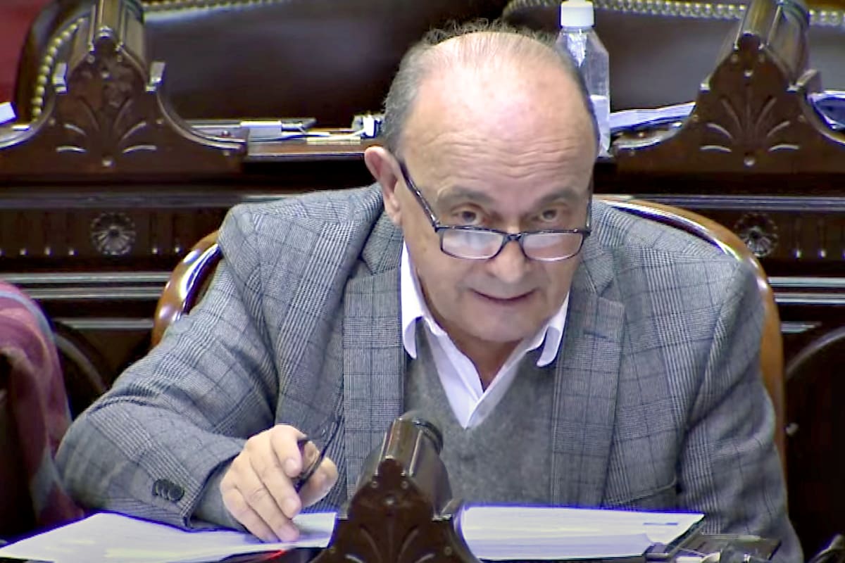 El diputado nacional Leopoldo Moreau, del Frente de Todos