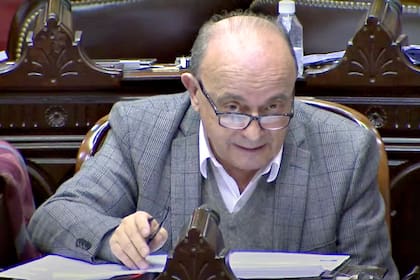 El diputado nacional Leopoldo Moreau, del Frente de Todos