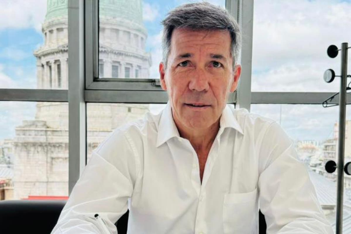 El diputado nacional Martín Ardohain