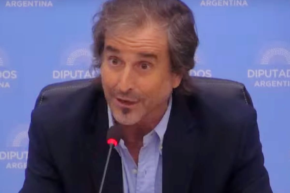 El diputado nacional por La Libertad Avanza (LLA), Bertie Benegas Lynch, en la Comisión de Presupuesto y Hacienda