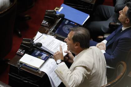 El diputado Oscar Zago