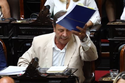 El diputado Oscar Zago